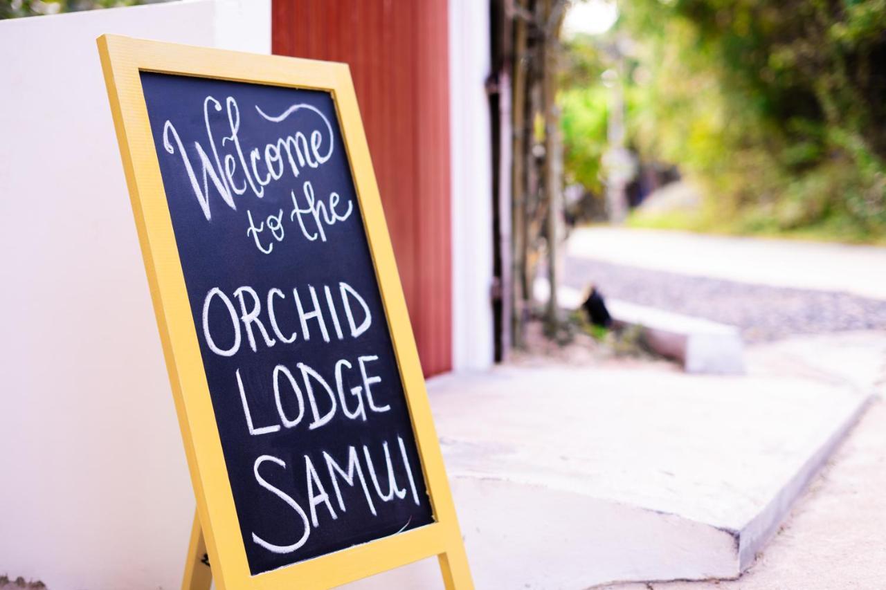 Orchid Lodge Samui - Bed & Breakfast 라마이비치 외부 사진