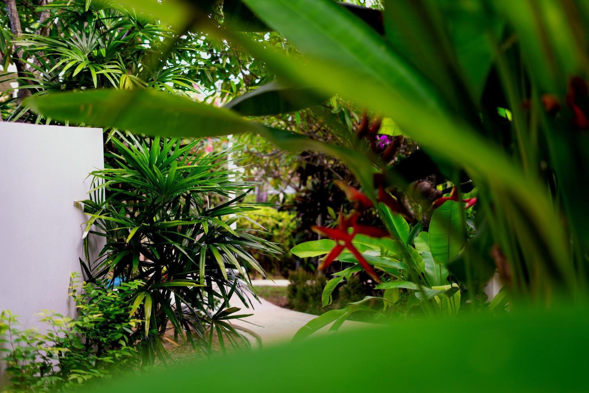 Orchid Lodge Samui - Bed & Breakfast 라마이비치 외부 사진