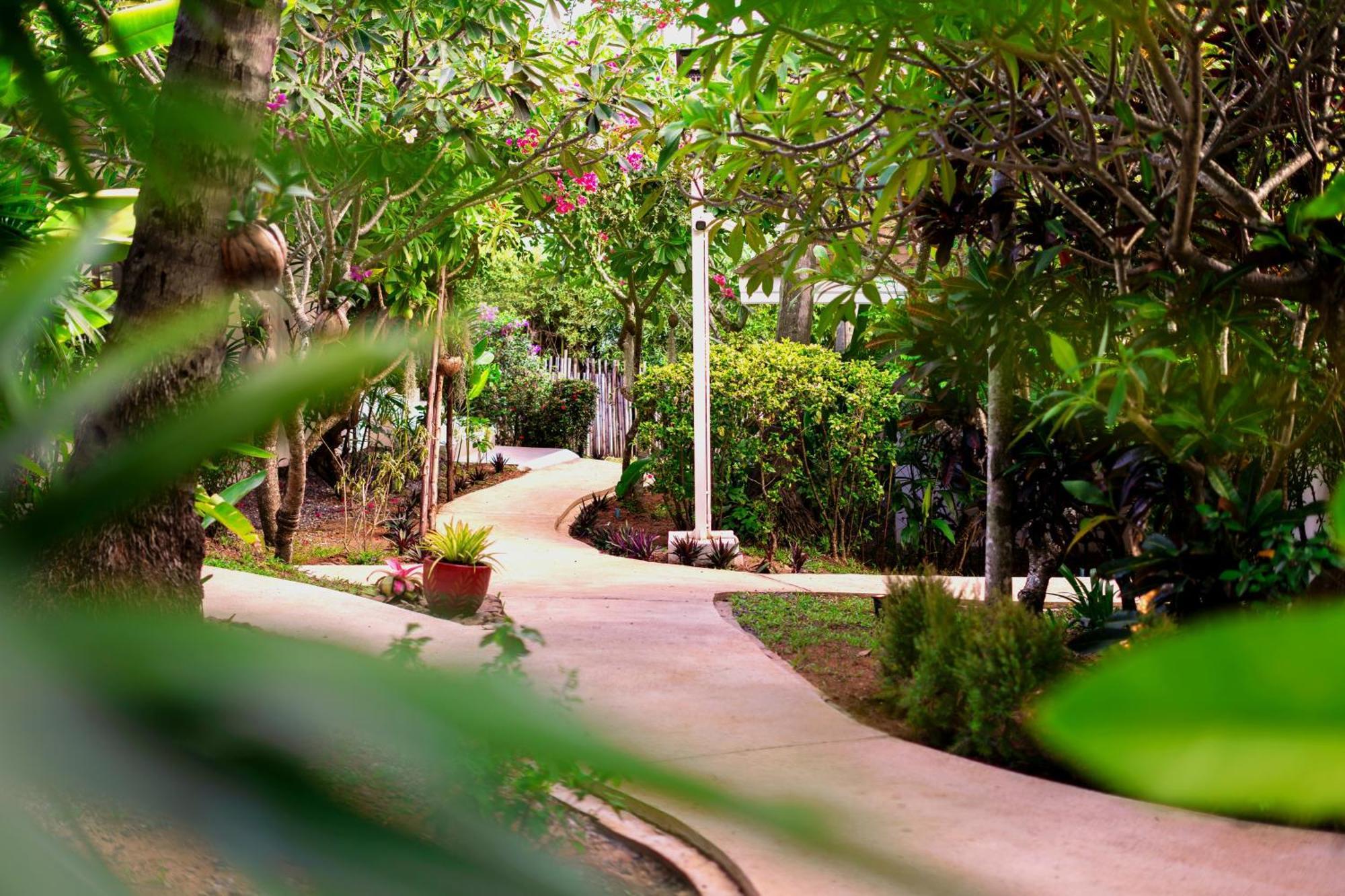 Orchid Lodge Samui - Bed & Breakfast 라마이비치 외부 사진