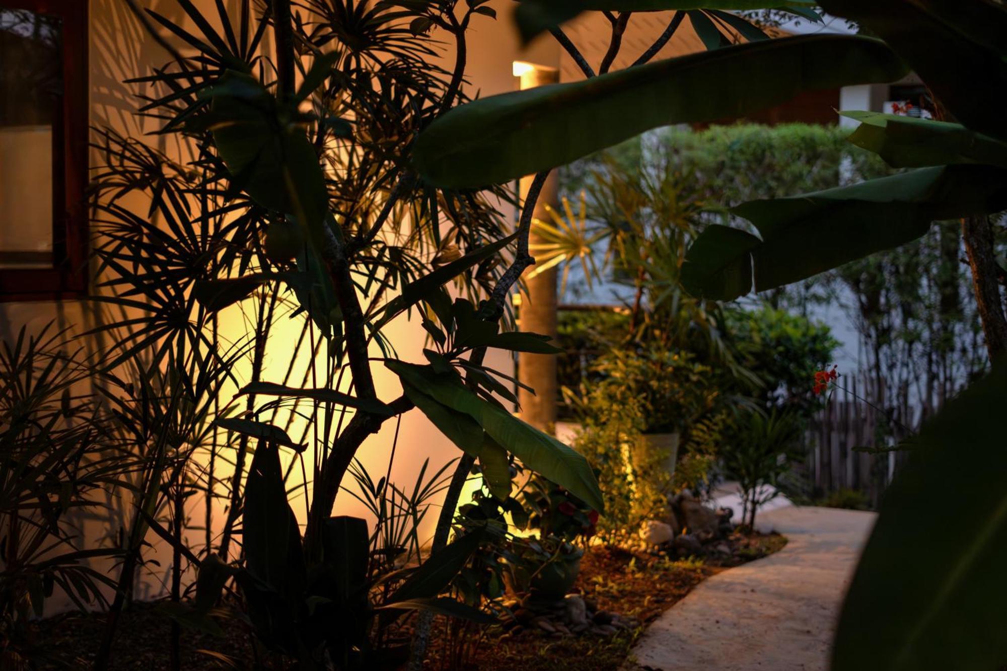 Orchid Lodge Samui - Bed & Breakfast 라마이비치 객실 사진